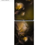 Whirlpool Fresh Magic Pro Rosalia  official 257 Liter Refrigerator