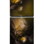 Whirlpool Fresh Magic Pro 278 Liter Glow Refrigerator (official)